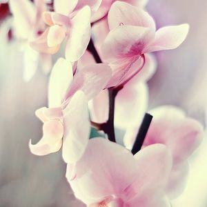 Meet your Posher, Miriam